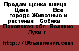 Продам щенка шпица.  › Цена ­ 15 000 - Все города Животные и растения » Собаки   . Псковская обл.,Великие Луки г.